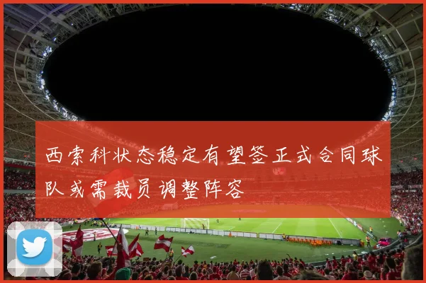 西索科状态稳定有望签正式合同球队或需裁员调整阵容