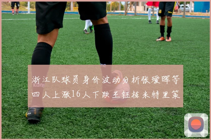 浙江队球员身价波动分析张瑷晖等四人上涨16人下跌王钰栋米特里策保持不变