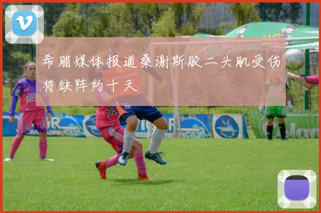 希腊媒体报道桑谢斯股二头肌受伤将缺阵约十天