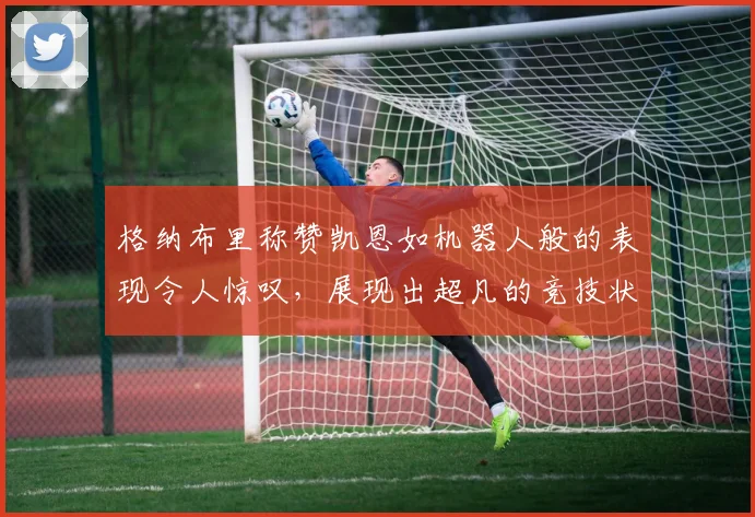 格纳布里称赞凯恩如机器人般的表现令人惊叹，展现出超凡的竞技状态
