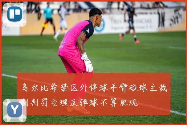 乌尔比希禁区外停球手臂碰球主裁判判罚合理反弹球不算犯规