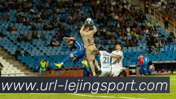 乐竞体育平台生态图